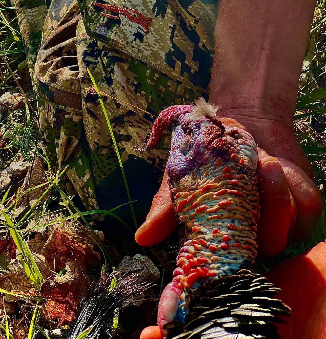 man holding a turkey